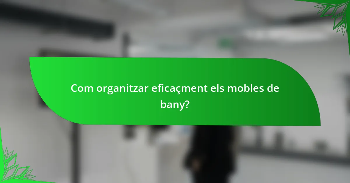 Com organitzar eficaçment els mobles de bany?