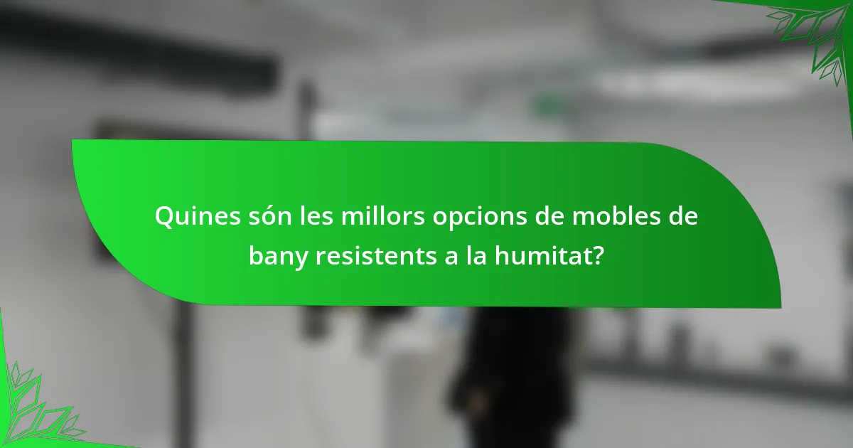 Quines són les millors opcions de mobles de bany resistents a la humitat?