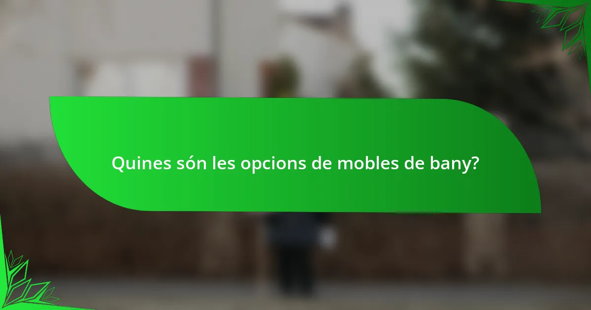 Quines són les opcions de mobles de bany?